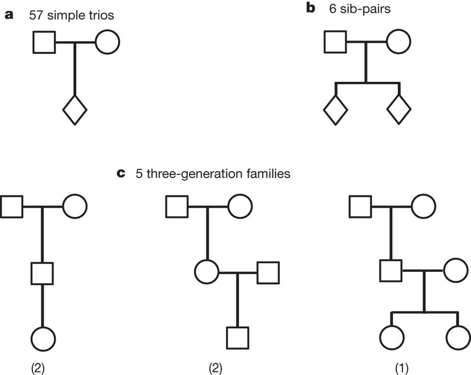 Figure from Kong et al showing the family tree of several sample collections.